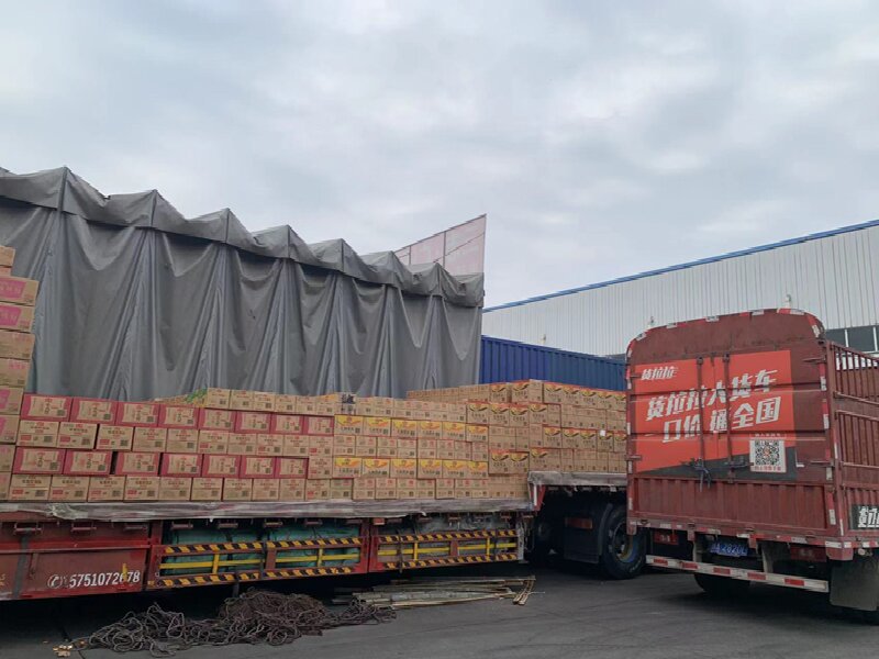 溫州到廣州南沙區(qū)貨運公司